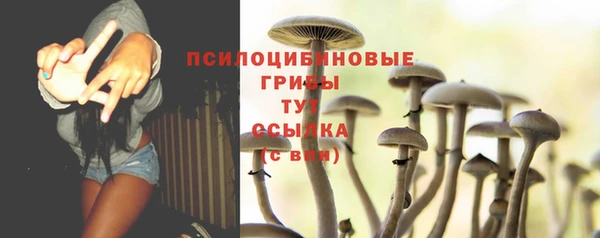 прущий лед Белокуриха